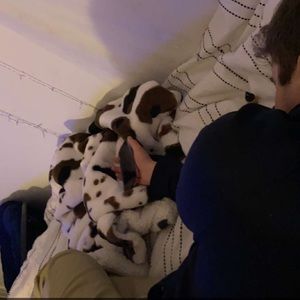 Meet your Posher, Jack